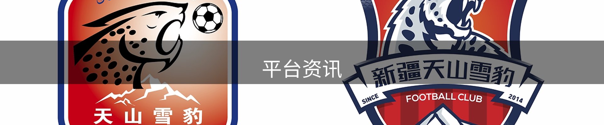 平台资讯